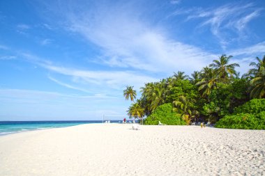 Maldivler 'de küçük bir ada. Palmiyelerle kaplı ve turkuvaz mavisi sularla çevrili. Güzel mercanları ve hayvanları var.