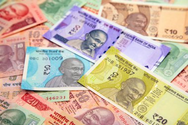 Hint banknotlarının koleksiyonu.