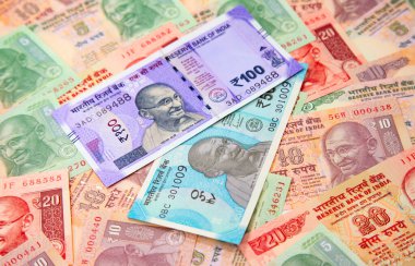 Hint banknotlarının koleksiyonu.