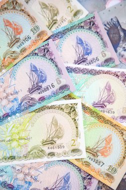 Collection of the Maldives rufiyaa banknotes