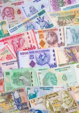 Afrika banknotlarının çeşitliliği 