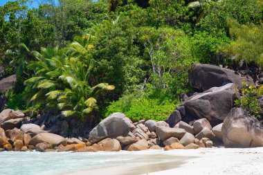 Famous Anse Georgette beach on the Praslin island, Seychelles