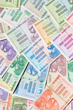 Yüksek enflasyondan sonra Zimbabwe 'nin banknotları