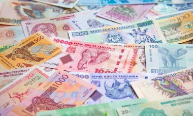 Afrika banknotlarının çeşitliliği 