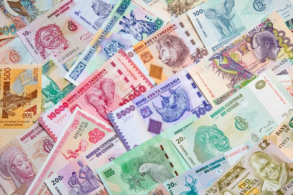Varietà Delle Banconote Africane — Foto Stock