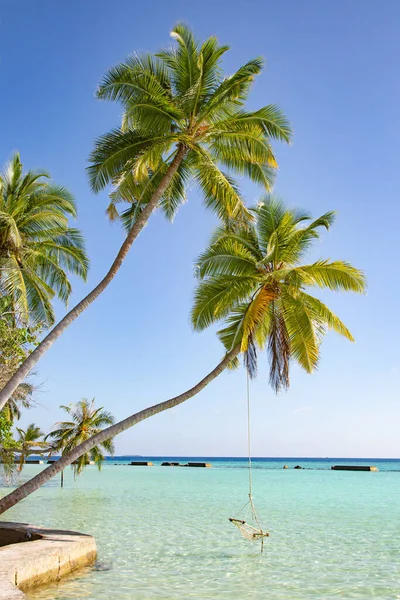 Piccola Isola Nelle Maldive Coperta Palme Circondata Acque Turchesi Blu — Foto Stock