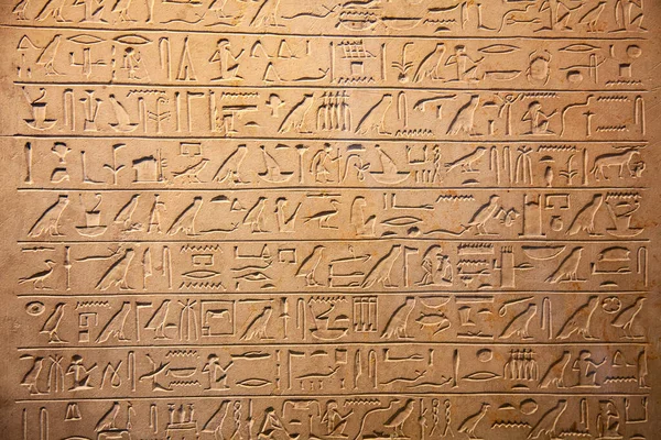 Jeroglíficos Egipcios Pared — Foto de Stock
