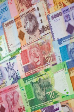 Afrika banknotlarının çeşitliliği