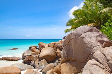 Praslin adasındaki ünlü Anse Georgette plajı, Seyşeller.