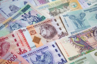 Afrika banknotlarının çeşitliliği
