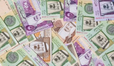 Suudi Arabistan Riyal para koleksiyonu