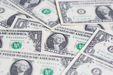 1 dolarlık banknot koleksiyonu