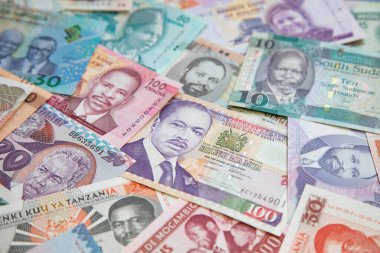 Afrika banknotlarının çeşitliliği