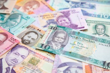 Afrika banknotlarının çeşitliliği