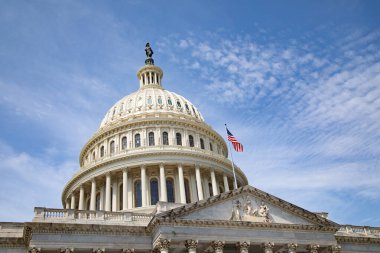 US Capitol in Washington DC (District of Columbia), United States of America
