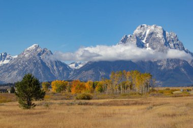 Grand Teton Ulusal Parkı, Wyoming, ABD