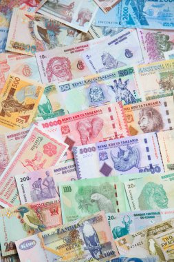 Afrika banknotlarının çeşitliliği