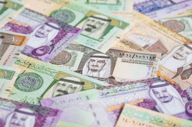 Suudi Arabistan Riyal para koleksiyonu