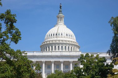 US Capitol in Washington DC (District of Columbia), United States of America