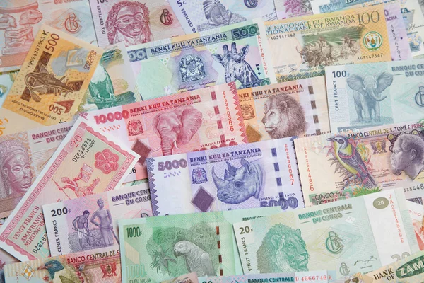 非洲钞票的种类 — 图库照片