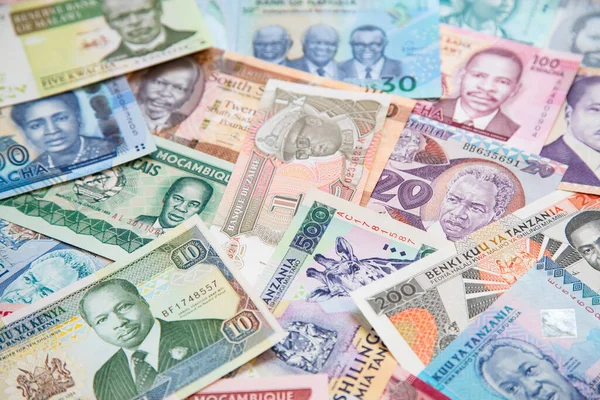 Variedad Los Billetes Africanos — Foto de Stock