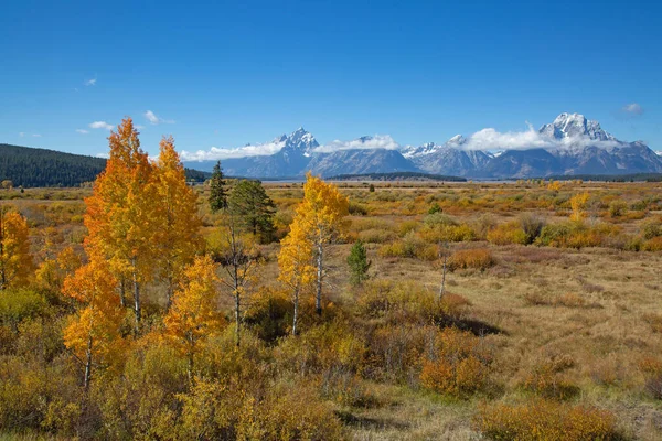 Grand Teton National Park Wyoming Usa — Stock fotografie