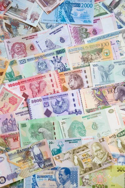Розмаїття Африканських Банкнот — стокове фото