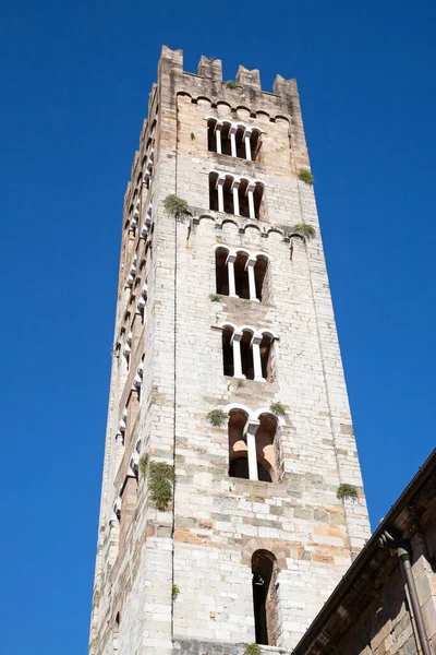 Storica Città Medievale Lucca Toscana Immagine Stock