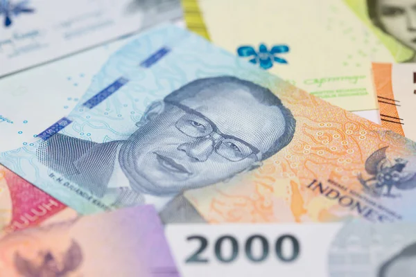 Collection Indonesian Banknotes 1000 50000 Rupiah Fotografia Stock