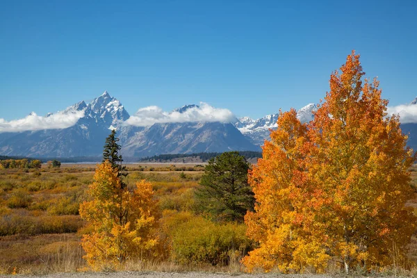 Grand Teton National Park Wyoming Eua Fotos De Bancos De Imagens Sem Royalties