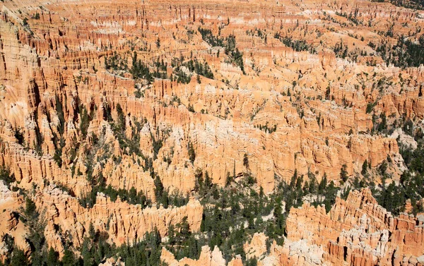Parque Nacional Canyon Bryce Utah Eua Fotos De Bancos De Imagens Sem Royalties
