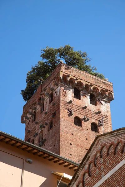 Cidade Medieval Histórica Lucca Toscana Itália Fotos De Bancos De Imagens