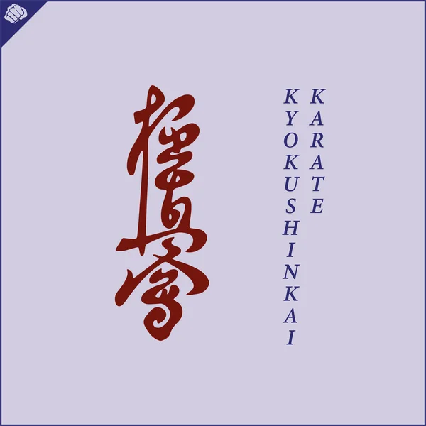 Japan Kanji Hieroglyf Dogi Kimono Översatt Till Svenska Kyokushin Oyama — Stock vektor