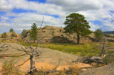 Kazakistan 'dan güzel manzaralar. Yüksek kalite fotoğraf