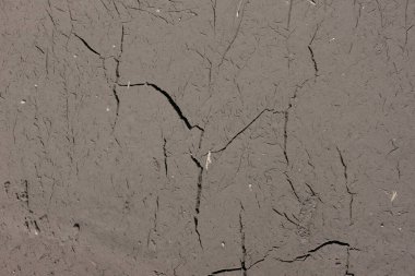 Çölde susuz ve susuz bir toprak parçası. Doku çatlamış kil arkaplan