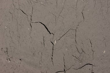 Çölde susuz ve susuz bir toprak parçası. Doku çatlamış kil arkaplan