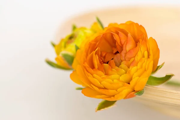 Piękny Kwiat Pomarańczy Ranunculus Bambusowej Talerzu Martwa Natura Idealny Kartkę — Zdjęcie stockowe