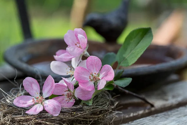 Pembe Elma Çiçeği Baharı Arka Planda Kuş Banyosu Olan Kırsal — Stok fotoğraf
