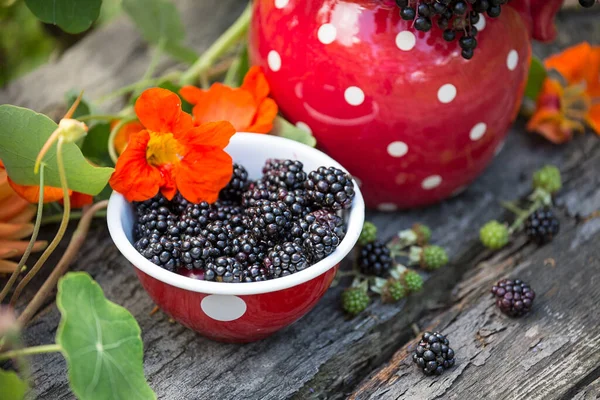 Dotted Tableware Flowers Berries Rural Still Life Garden Old Wood — Stock Photo, Image
