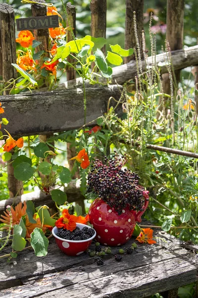 点缀的餐具 鲜花和浆果 乡间的静谧生活在一张旧长椅上的花园里 — 图库照片