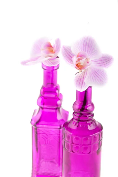 Styl Zen Martwa Natura Żywymi Różowymi Kwiatami Storczyków Szklanych Butelkach — Zdjęcie stockowe
