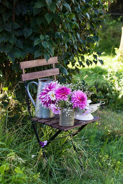 田舎の庭はまだ日当たりの良い夏の日にヴィンテージチェアとダリアの花で生きています ストックフォト