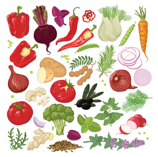 手描きの野菜やハーブのコレクション ベジタリアンや健康的な食事や料理のデザイン要素 レストランメニューのベクトルイラストセット — ストックベクタ