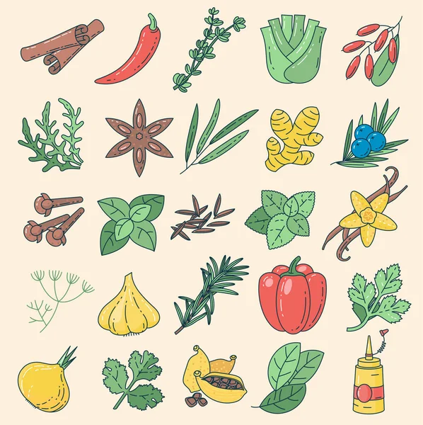 ハーブやスパイスの手描きベクトルイラスト 芳香のある植物や種子のスケッチ ヴィンテージアイコンとメニューデザイン要素セット — ストックベクタ