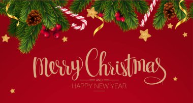 Noel ve Yeni Yıl vektör şablonu. Karanlık ahşap arka planda Noel ağacı dalları, yıldızlar, koniler ve kutsal meyveler..