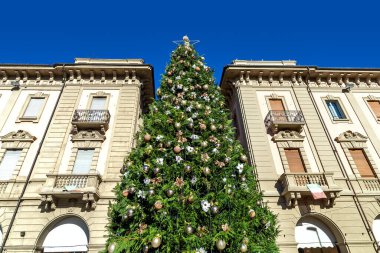 Alba, Piedmont, Kuzey İtalya 'da (alçak açı) kasaba meydanındaki eski binalar arasında süslenmiş Noel ağacı).