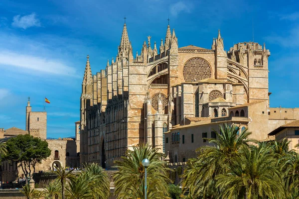 Catedral Santa Maria Alias Seu Bajo Cielo Azul Palma Mallorca —  Fotos de Stock