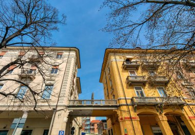 Alba, Piedmont, Kuzey İtalya 'da mavi gökyüzü altında dalları ve iki binası olan ağaçların alçak açılı görüntüsü.