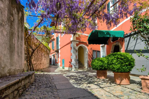 Smalle Straat Tussen Kleurrijke Huizen Onder Hangende Bloemen Aan Het — Stockfoto
