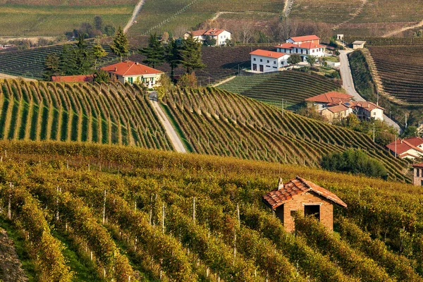 Kuzey İtalya, Piedmont 'taki Langhe tepelerindeki renkli üzüm bağlarının kırsal evlerinin manzarası.